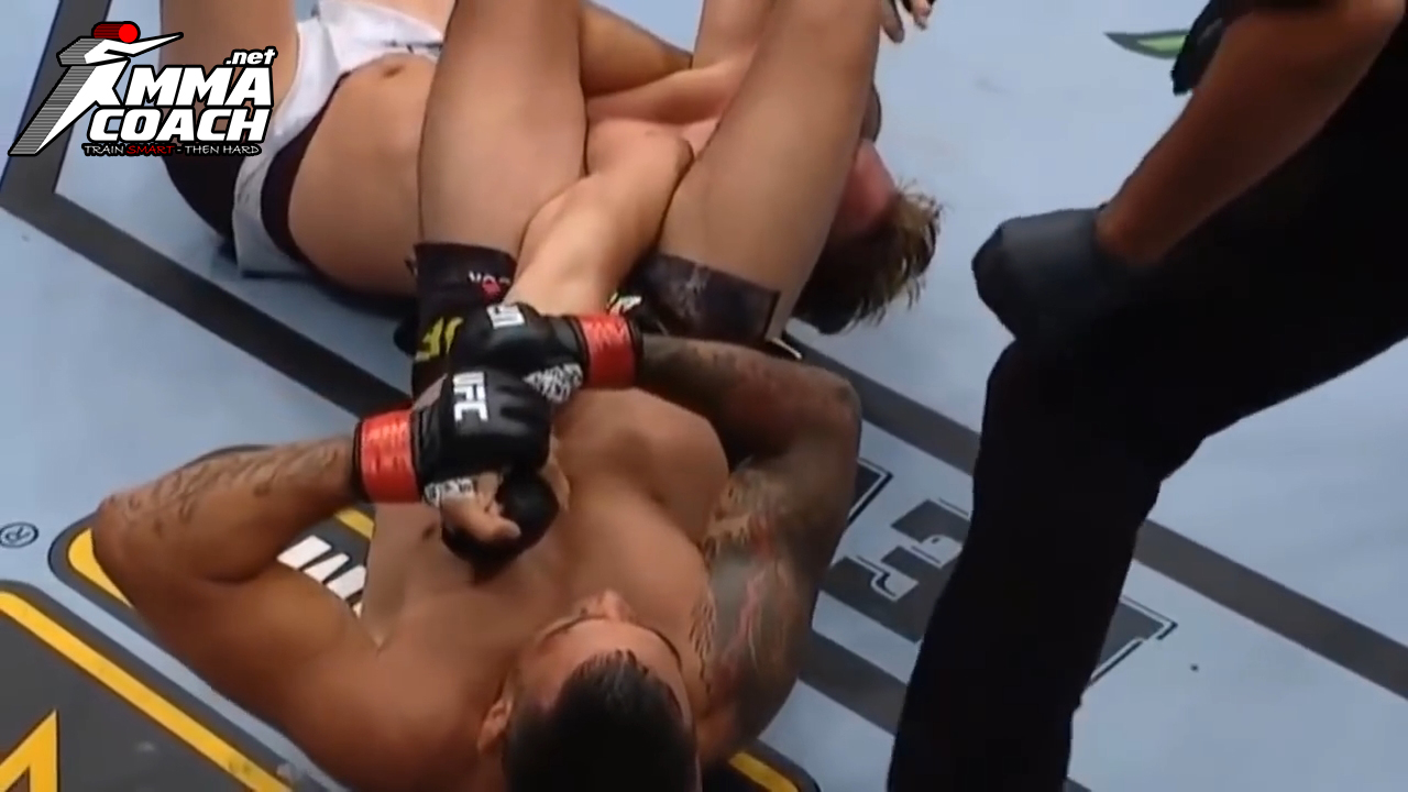 How Werdum finished Gustafsson